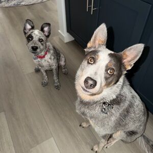 ♥️♥️My Zoe Zoe and Buster!!!♥️♥️